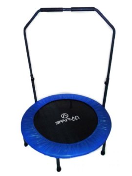 Trampolína s držadlom SPARTAN 96cm