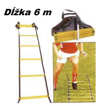 Koordinačný rebrík Spartan