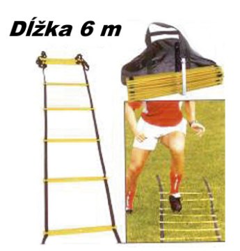 Koordinačný rebrík Spartan