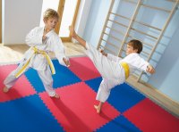 TATAMI TAEKWONDO podložka SPARTAN 100 X 100 X 2 cm