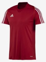 Adidas pánske krátke tričko Team T12