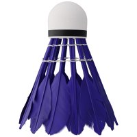Badmintonové loptičky NILS NBL6213 multicolor 3 ks