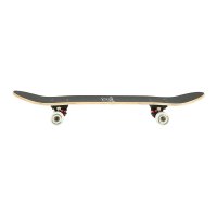 Skateboard NILS Extreme CR3108 Camper
