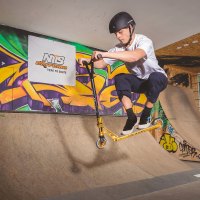 Freestyle kolobežka NILS Extreme HS202 Pre zlatá