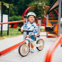 Detské odrážadlo NILS Fun RB138 12"