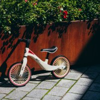 Detské odrážadlo NILS Fun RB138 12"