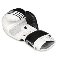 Boxerské rukavice DBX BUSHIDO B-2v3A