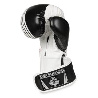 Boxerské rukavice DBX BUSHIDO B-2v3A