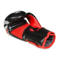 Boxerské rukavice DBX BUSHIDO ARB407v2 6 oz