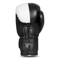 Boxerské rukavice DBX BUSHIDO B-2v20