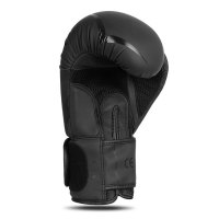 Boxerské rukavice DBX BUSHIDO B-2v22