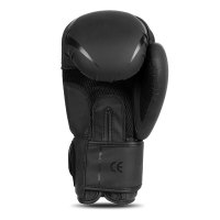 Boxerské rukavice DBX BUSHIDO B-2v22