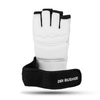 Rukavice na taekwondo DBX BUSHIDO DBX-T-1
