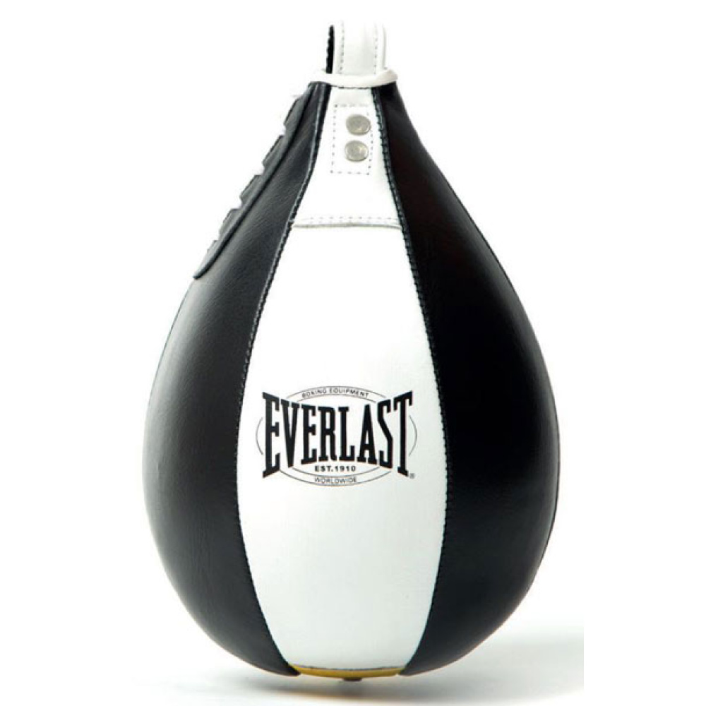 Everlast Speed Bag